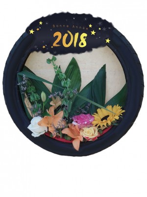 bonne_annee_2018.jpg (68.82 Kio) Vu 4401 fois bonne_annee_2018.jpg