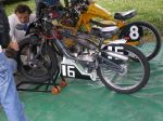 IMGP1361.JPG