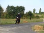 DSC01620.JPG
