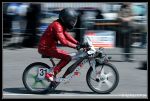 IMG_5767rec.jpg