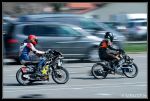IMG_5813rec.jpg