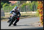 SolexGayan2008-1416rec800.jpg