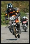 SolexGayan2008-1632rec800.jpg