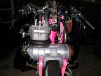 solex le 11022007 (1).JPG